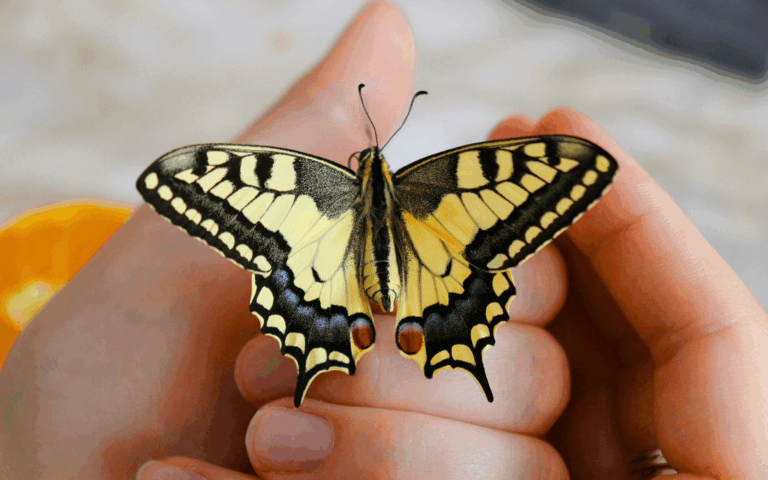 Blogbeitrag Hochsensibilität Symptome erkennen