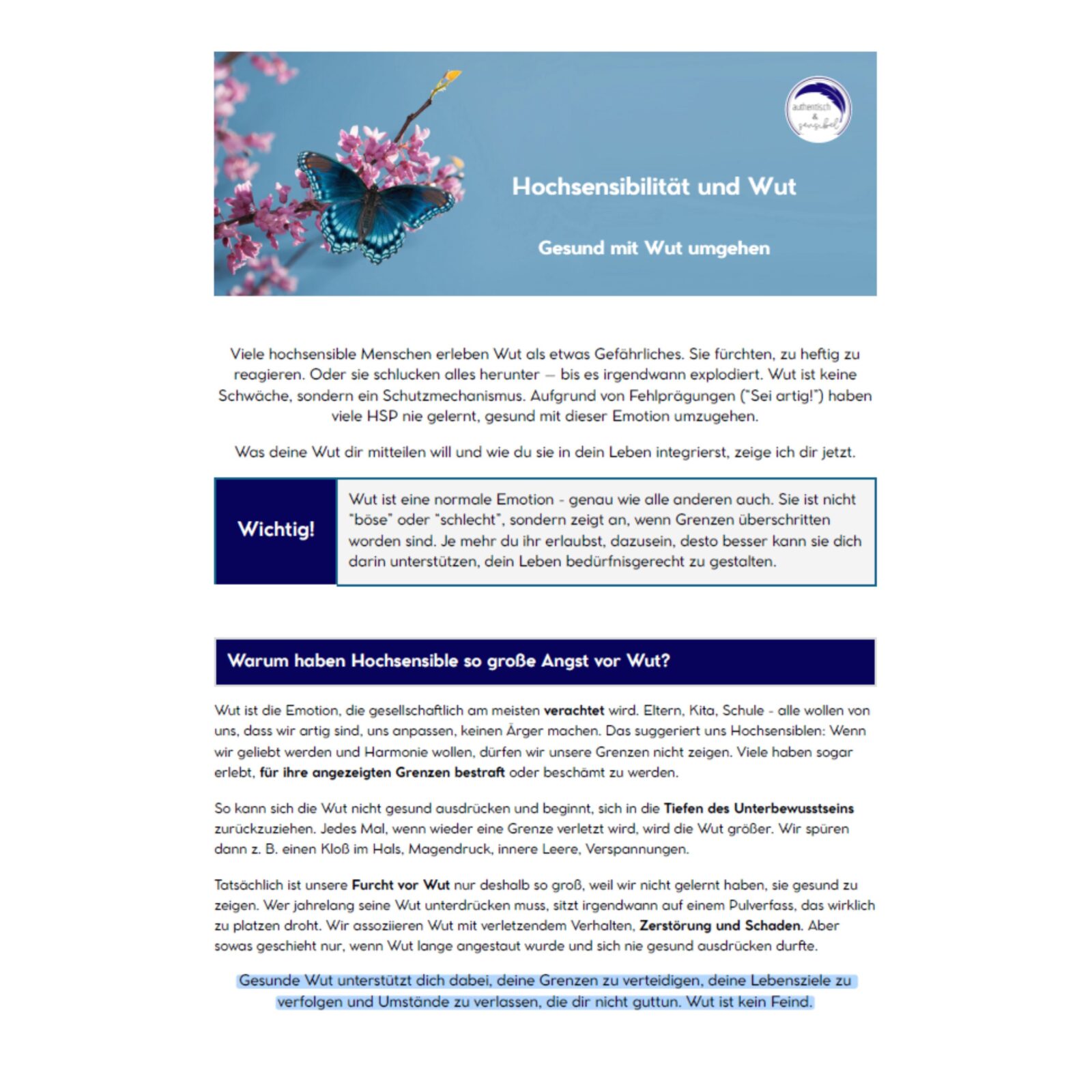 hochsensibilitaet-wut Hochsensibilität und Wut: Gesund mit Wut umgehen