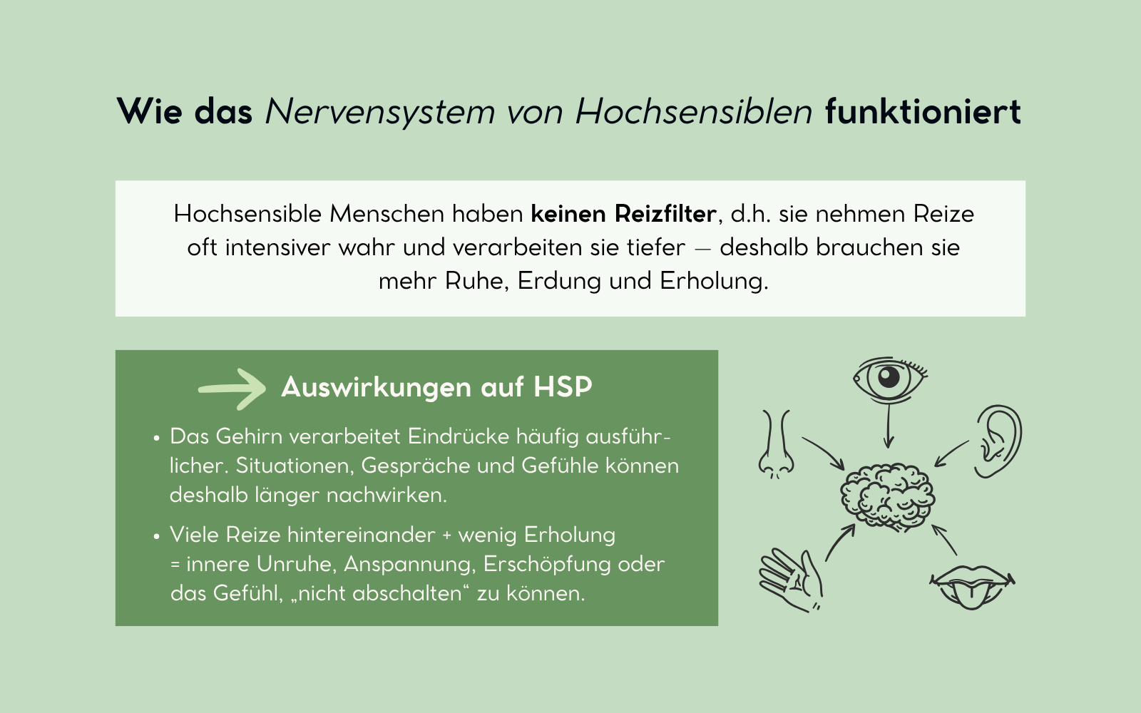 Wie das Nervensystem von Hochsensiblen funktioniert, Nicole Trojahn